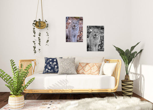 Wild Lynx Printed on Canvas